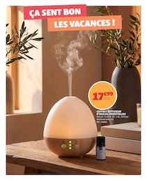 Offre Huiles Essentielles dans le catalogue Gifi du moment à la page 22