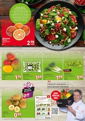 Aktueller Selgros Prospekt mit Kohle, "cash & carry", Seite 2