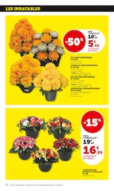 Chrysanthèmes Angebote im Prospekt "bi1 supermarché" von Bi1 auf Seite 30