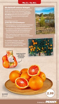Schweinefleisch im Penny Prospekt "Wer günstig will, muss Penny." mit 44 Seiten (Erlangen)