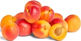 Aprikosen im Penny Prospekt Aprikosen im aktuellen Penny Prospekt fĂĽr