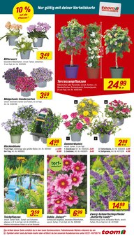 Farbe im aktuellen toom Baumarkt Prospekt (Bottrop) Farbe im toom Baumarkt Prospekt "Respekt, wer's selber macht." mit 30 Seiten (Bottrop)