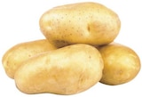 combi Vechta - Speisefrühkartoffeln Angebot im Prospekt Speisefrühkartoffeln bei combi im Vechta Prospekt für 2,22 €