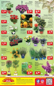 Augustiner im Zimmermann Prospekt "Aktuelle Angebote" mit 10 Seiten (Hannover)