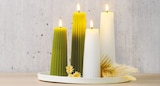 2er-Set LED-Echtwachskerzen weiß von NORD für 11,99 € bei Netto mit dem Scottie im Angebot 2er-Set LED-Echtwachskerzen weiß von NORD im aktuellen Netto mit dem Scottie Prospekt