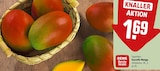 Essreife Mango Angebote von REWE Beste Wahl bei REWE Flensburg für 1,69 €