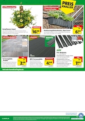 Terrassenplatten im Hagebaumarkt Prospekt in Weinheim Aktueller Hagebaumarkt Prospekt mit Terrassenplatten, "Ab nach draußen? SO günstig geht das!", Seite 16