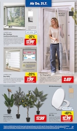Fenster Fliegengitter Angebot im aktuellen Lidl Prospekt auf Seite 33