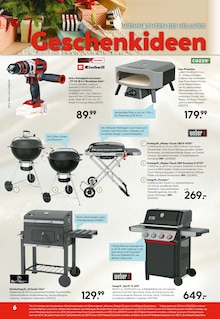 Backofen im Hellweg Prospekt "Die Profi-Baumärkte" mit 24 Seiten (Potsdam)