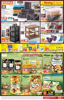 Schuhe im Norma Prospekt "Mehr fürs Geld" mit 20 Seiten (Düsseldorf)