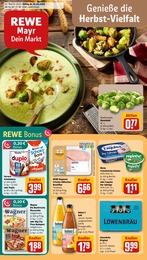 REWE Prospekt für Königsbrunn mit 30 Seiten REWE Prospekt für Königsbrunn: "Dein Markt", 30 Seiten, 20.10.2025 - 25.10.2025