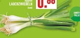Lauchzwiebeln bei Marktkauf im Paderborn Prospekt für 0,66 €