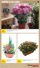 Prix et réduction Plante D'intérieur dans le prospectus Intermarché Hyper en cours Offre Plante D'intérieur dans le catalogue Intermarché Hyper du moment à la page 17