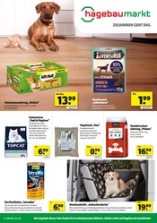 Hundefutter im Hagebaumarkt Prospekt in Altenburg Aktueller Hagebaumarkt Prospekt mit Hundefutter, "GÖNN DIR SONNEN-ENERGIE", Seite 11