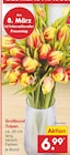 Großbund Tulpen  im aktuellen Netto Marken-Discount Prospekt für 6,99 €