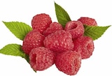 Himbeeren bei EDEKA im Ühlingen-Birkendorf Prospekt für 1,49 €