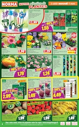 Offre Terreau dans le catalogue Norma du moment à la page 4