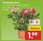 Netto Marken-Discount Obergünzburg - Zweifarbige Rosen Angebot im Prospekt Zweifarbige Rosen bei Netto Marken-Discount im Obergünzburg Prospekt für 1,99 €