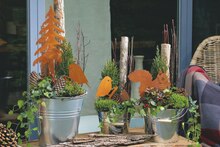 Pflanzenarrangements „Waldweihnacht“ bei toom Baumarkt in Hameln Pflanzenarrangements „Waldweihnacht“ im Angebot bei toom Baumarkt Hameln für 9,99 €