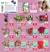 Aktueller Marktkauf Prospekt mit Orchidee, "Aktuelle Angebote", Seite 2