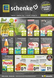 EDEKA Discounter Prospekt der aktuellen Woche mit 24 Seiten, gültig von 04.08.2025 bis 09.08.2025, in Rheda-Wiedenbrück und Umgebung Aktueller EDEKA Discounter Prospekt in Rheda-Wiedenbrück und Umgebung, "Aktuelle Angebote" mit 24 Seiten, 04.08.2025 - 09.08.2025
