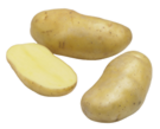 Promo Plants de pomme de terre Delikatess à 9,95 € dans le catalogue LaMaison.fr à Sourdeval