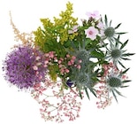 Aktuelle Blumen Angebote bei REWE in Rostock Aktuelles Blumenstrauß »Wiesenstrauß« Angebot bei REWE in Rostock ab 4,79 €