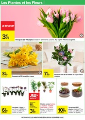 Orchidée Angebote im Prospekt "LE MOIS VIP, VERY IMPORTANT PROMOS*" von Carrefour auf Seite 66