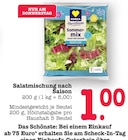 Aktuelles Sommermix Salat der Saison Angebot bei E center in Mannheim ab 1,00 €