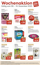 Aktueller ZOO und Co. Prospekt mit Katzenstreu, "Wochenaktion", Seite 1