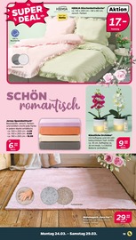 Aktueller Netto mit dem Scottie Prospekt mit Schlafzimmer, "Günstig. Besser. Für Dich.", Seite 19