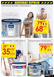 Offre Bricolage et Jardin dans le catalogue Décor Discount du moment à la page 3