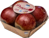 Aktuelle Äpfel Angebote bei E center in Rostock Aktuelles Tafeläpfel Pompur Angebot bei E center in Rostock ab 2,99 €