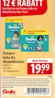 baby-dry Windelhöschen Angebote von Pampers bei famila Nordost Celle für 19,99 €