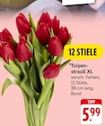 Tulpenstrauß XL Angebote bei EDEKA Bad Homburg für 5,99 €