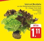 Salatrio mit Wurzelballen für 1,11 € bei EDEKA im Angebot Salatrio mit Wurzelballen im aktuellen EDEKA Prospekt