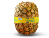 Ananas ohne Krone im Angebot bei Penny in Bonn Ananas ohne Krone Angebote von Marktliebe bei Penny Bonn für 1,49 €