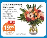 V-Markt Buchloe - Strauß des Monats Angebot im Prospekt Strauß des Monats bei V-Markt im Buchloe Prospekt für 19,99 €