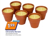 Aktuelles Citronella-Kerzen Angebot bei Action in Würzburg ab 1,99 €