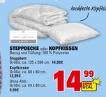 Aktuelles Steppdecke oder Kopfkissen Angebot bei Marktkauf in Heilbronn ab 9,99 €