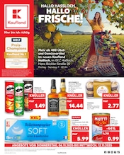 Kaufland Supermarkt Prospekt der aktuellen Woche mit 68 Seiten, gültig von 06.11.2025 bis 12.11.2025, in Wachenheim und Umgebung Aktueller Kaufland Supermarkt Prospekt in Wachenheim und Umgebung, "Aktuelle Angebote" mit 68 Seiten, 06.11.2025 - 12.11.2025