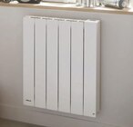 Radiateur électrique à inertie fluide Noirot Radiaflo Blanc 1000 W - Noirot en promo chez Castorama Caen à 199,00 €