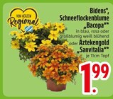 Bidens Angebote bei EDEKA Passau für 1,99 €