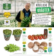 Aktueller Marktkauf Prospekt mit Bio, "Aktuelle Angebote", Seite 6