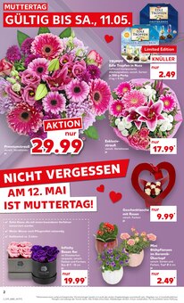 Schnittblumen im Kaufland Prospekt "Aktuelle Angebote" mit 52 Seiten (Wiesbaden)