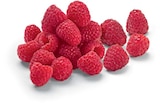 Himbeeren von Driscoll's im aktuellen Netto Marken-Discount Prospekt
