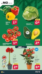 Paprika-Mix Angebot im aktuellen Netto mit dem Scottie Prospekt auf Seite 2