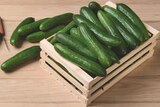 Mini Gurke im tegut Prospekt Mini Gurke von im aktuellen tegut Prospekt für 0,49 €