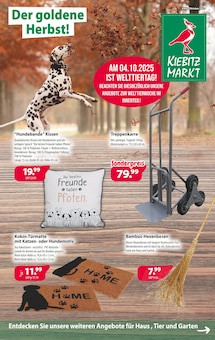 Aktueller Kiebitzmarkt Prospekt