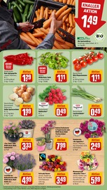 Ähnliche Tulpen Angebote im Prospekt "Dein Markt" von REWE in Gifhorn Ähnliche Angebote wie Tulpen im Prospekt "Dein Markt" auf Seite 9 von REWE in Gifhorn